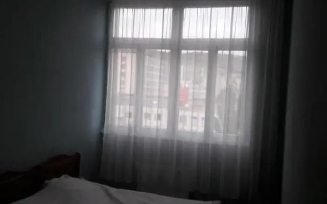 Elma - photo 2