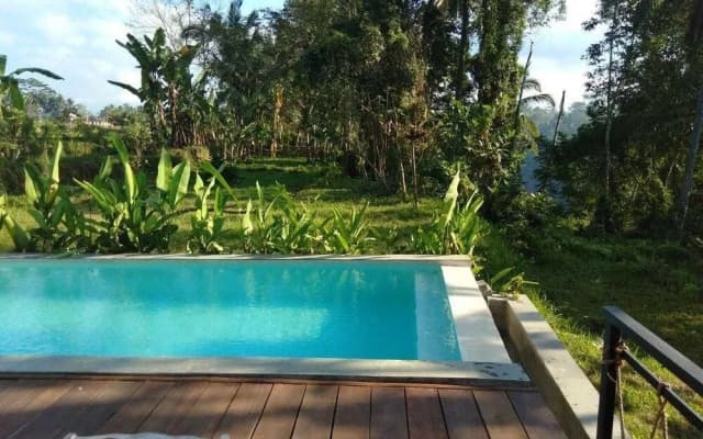 Amara Giri Villas - photo 3