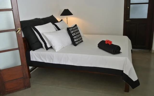 "27" Spathodea- Oasis in the City - photo 2