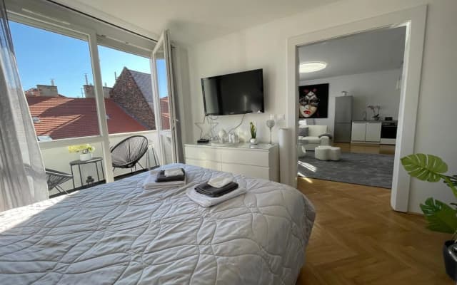 Panoramic Apt. near Chain Bridge - photo 3