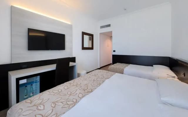 Hotel Ambasciatori  Delfino - photo 4