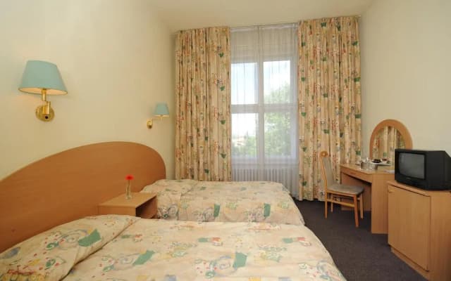 Hunguest Hotel Platnus - photo 2