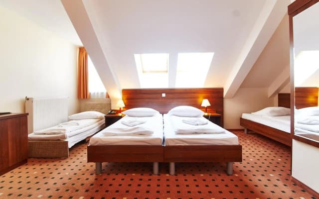 Hotel Europa City - photo 4