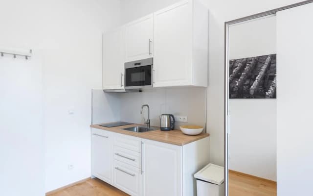 Residence Tesnov Apartment - photo 3