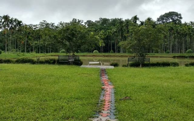 Pappy's Nest Resort - photo 4