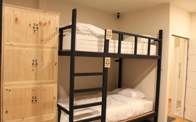 Mad Panda Hostel - photo 5