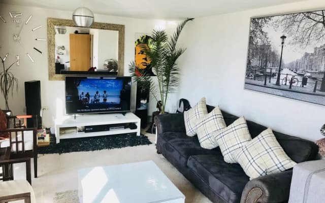 Double Room In London Shared Penthouse - photo 3