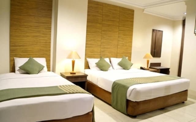 Hotel Alia Matraman - photo 5