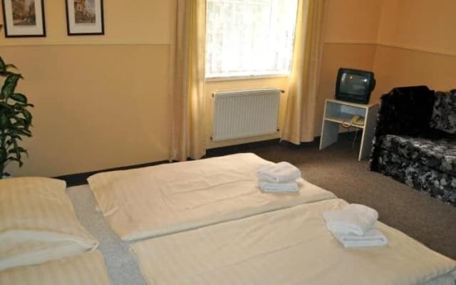Hotel Wertheim - photo 3