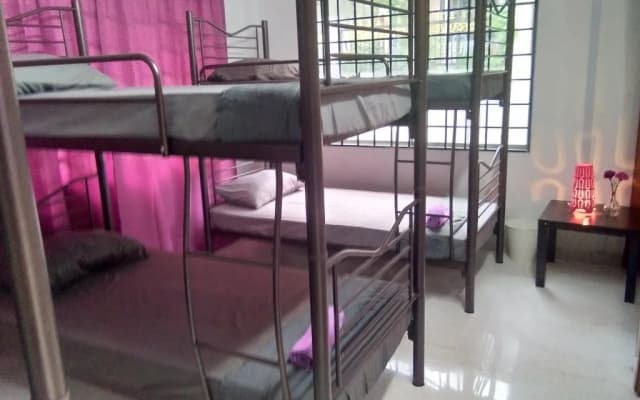 Purpleberry Inn - photo 4