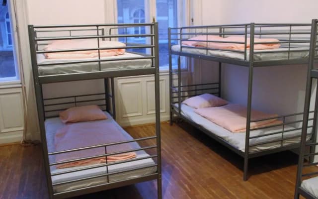 Black Dog Hostel - photo 3