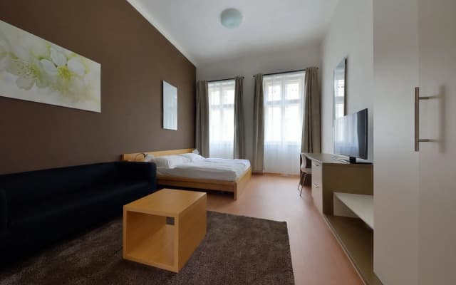 DownTown Suites Chlumova - photo 5