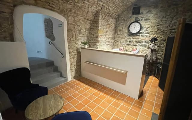 Templova Apartments - photo 2