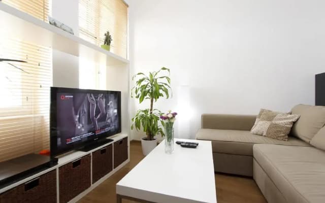 Radlicka Apartments - photo 4
