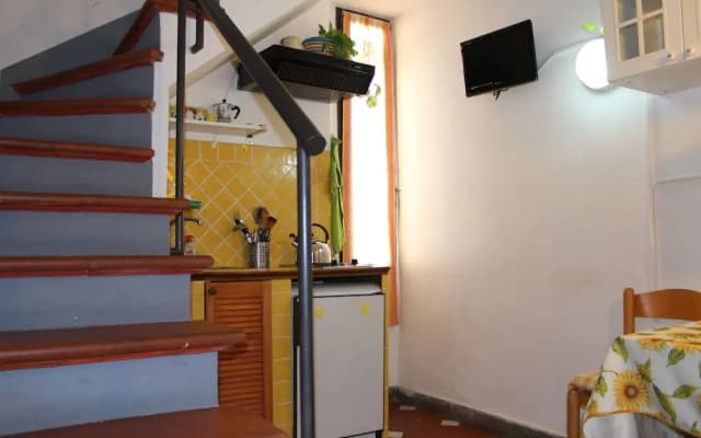 Zmax Zanobi Studios - photo 2