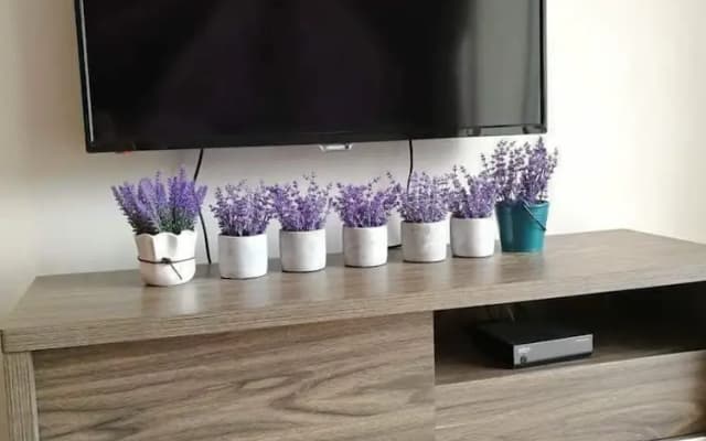 VgoCameron Home - photo 2