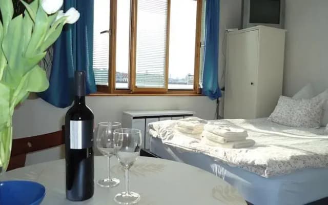 Apartment Haydn - photo 4