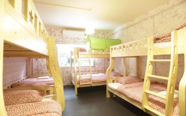 Tiger Lily Hostel - photo 5