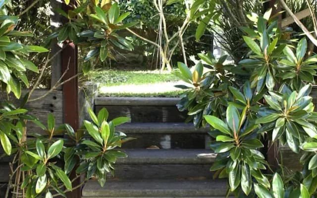 Bronte Sea Garden Tranquil Apartment - photo 4