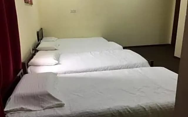 Times Traveller Lodge - photo 3