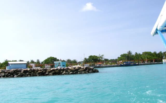 Tropical Lodge - photo 3