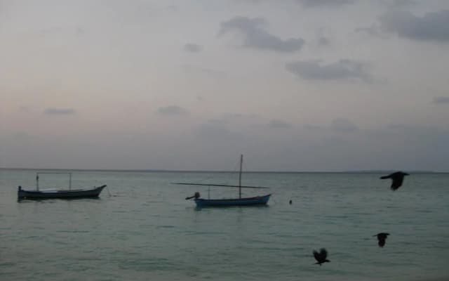 Tropical Lodge - photo 5