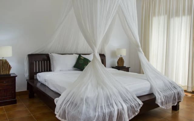 Ivory Villa - photo 3