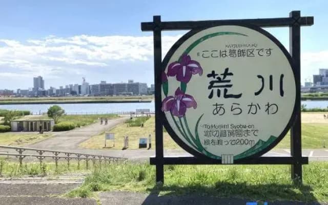 Nagomi An - photo 5