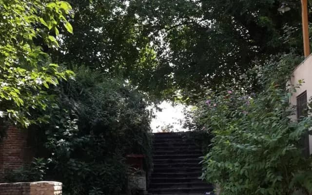 Guesthouse Dinara - photo 3