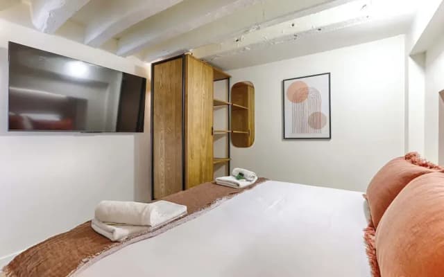 Beautiful AC Duplex Bastille Le Marais - photo 4