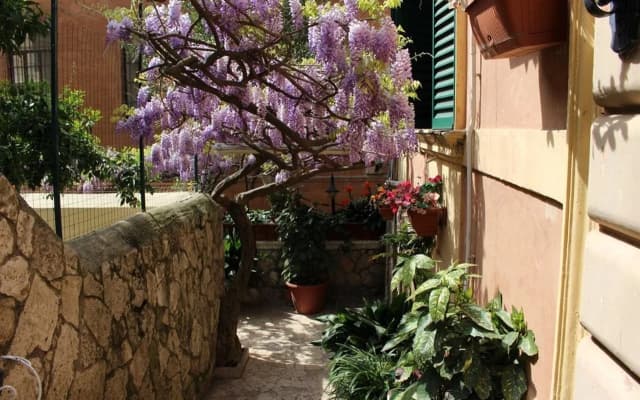 Hotel Pavia - photo 4