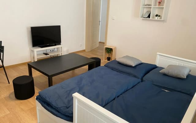 Nerudova Apartments - photo 3