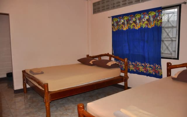 Coral Resort & Bungalows - photo 5