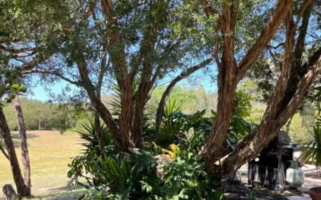 The Fingal Farm - photo 5