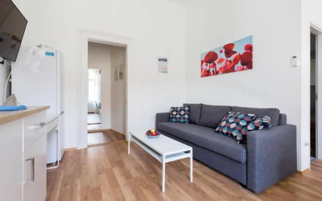 Best Vacation Apartment in Budapest - photo 2