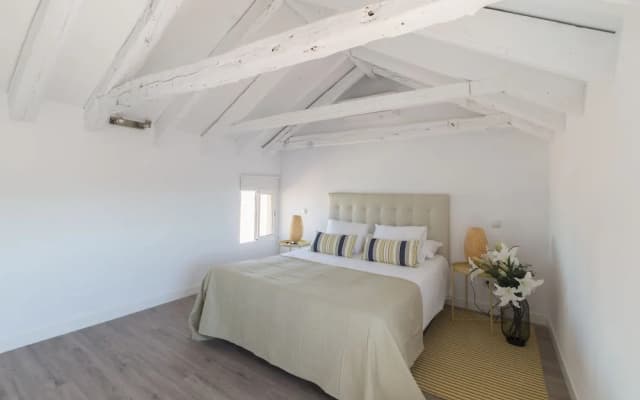 Plaza Mayor Attic - photo 2