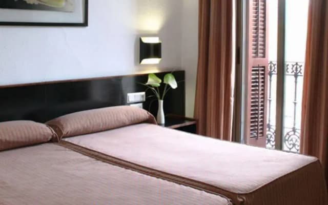 Hotel Monegal - photo 4