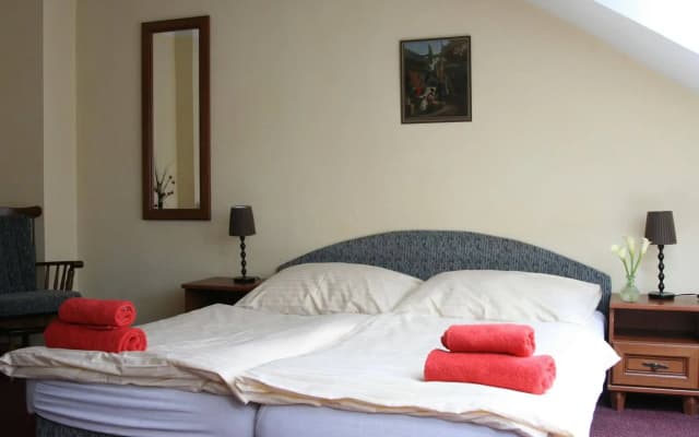 Hotel Klára - photo 4