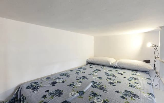 Tibaldi - photo 5