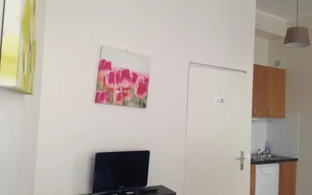 Apartment Poisson 1 - photo 4