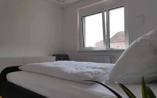 City Appartement Wien-Schwechat - photo 3