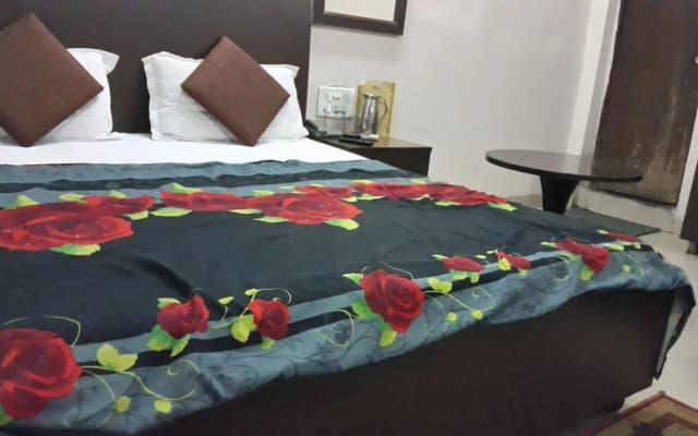 Ashwani Hotel - photo 5