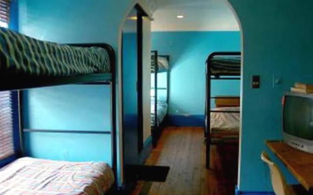 London Plane Backpackers - photo 2