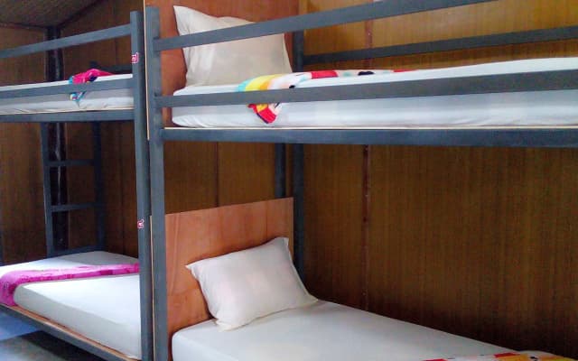 Funky Fish Hostel - photo 4