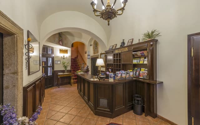 Hotel Cerny Slon - photo 2