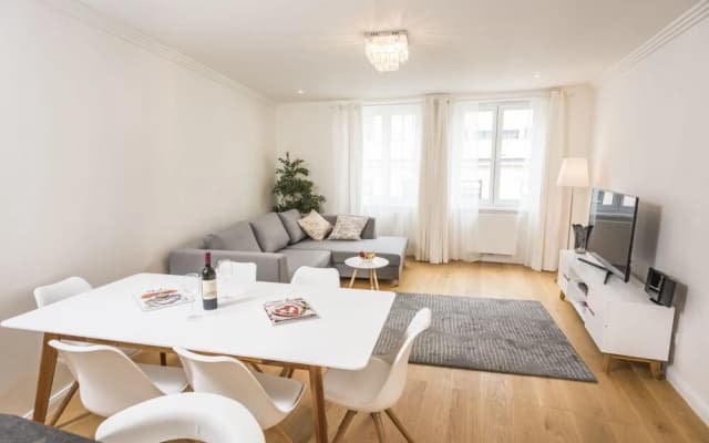 Vienna-lodgings Seilerstatte - photo 2