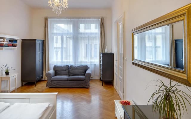 Charles Bridge Premium Apartments - photo 3