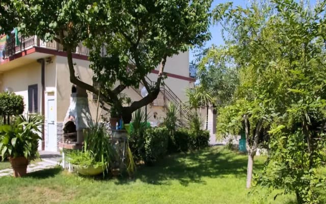 Tourist House - photo 3
