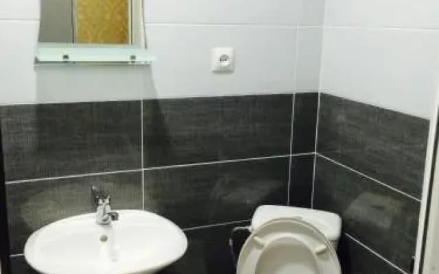 City House - photo 3