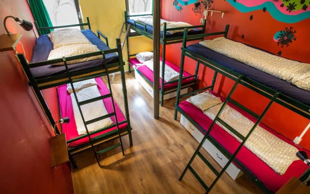 Island Hostel - Adults only - photo 4